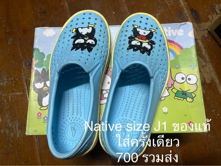 ไม่ระบุ หลากสี อื่นๆ XS รองเท้า Native แท้ 