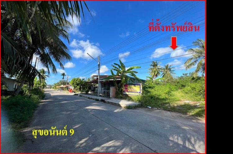 ใช่ 💖 ที่ดิน ปากพนัง ราคาพิเศษ! 💖 รูปที่ 3
