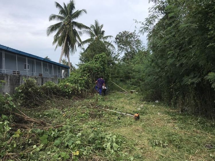 ใช่ 💖 ที่ดิน ปากพนัง ราคาพิเศษ! 💖 รูปที่ 4