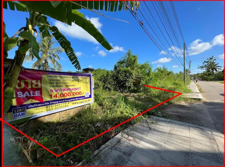 ใช่ 💖 ที่ดิน ปากพนัง ราคาพิเศษ! 💖 รูปที่ 2