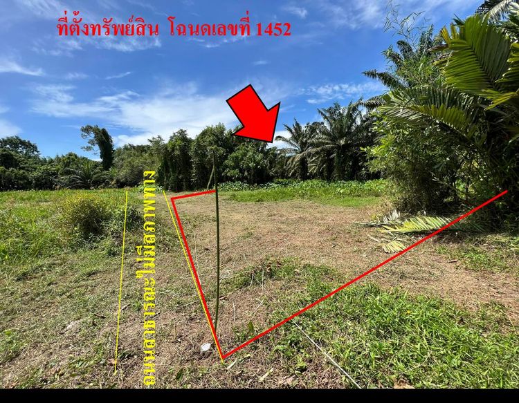 💖 ที่ดิน สิชล ราคาพิเศษ! 💖
