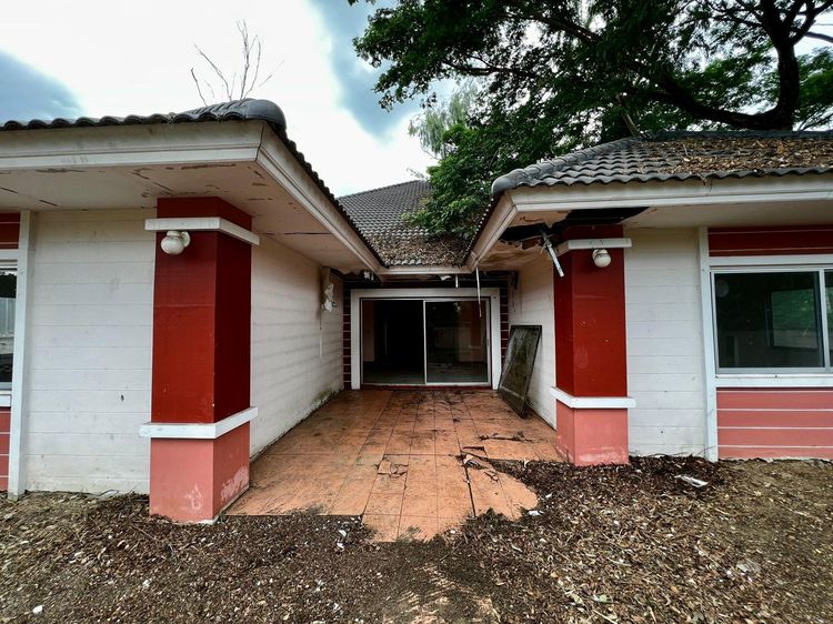 ใช่ 💖 บ้าน สันกำแพง ราคาพิเศษ! 💖 รูปที่ 2