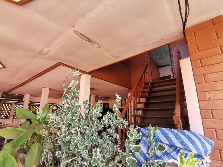 ใช่ 💖 บ้าน เมืองแพร่ ราคาพิเศษ! 💖 รูปที่ 2