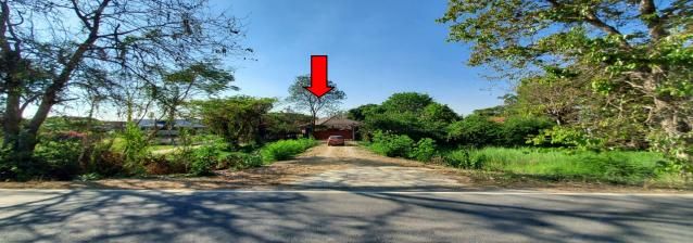 ใช่ 💖 บ้าน เมืองพิษณุโลก ราคาพิเศษ! 💖 รูปที่ 3