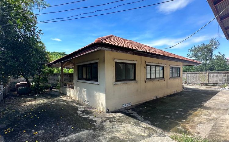 āđāļāđ ð āļāđāļēāļ āļāļĢāļ°āļāļļāļāļāļāļēāļ āļĢāļēāļāļēāļāļīāđāļĻāļĐ! ð āļĢāļđāļāļāļĩāđ 3