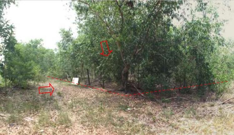 ใช่ 💖 ที่ดิน ราชสาส์น ราคาพิเศษ! 💖 รูปที่ 2