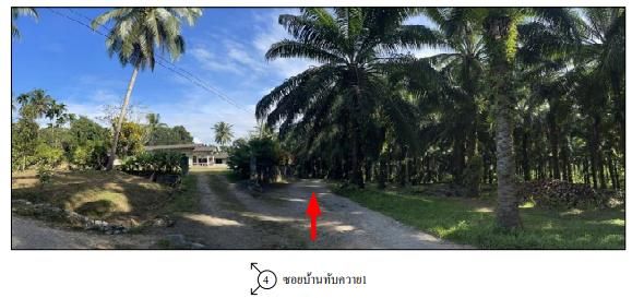 ใช่ 💖 ที่ดิน อ่าวลึก ราคาพิเศษ! 💖 รูปที่ 4