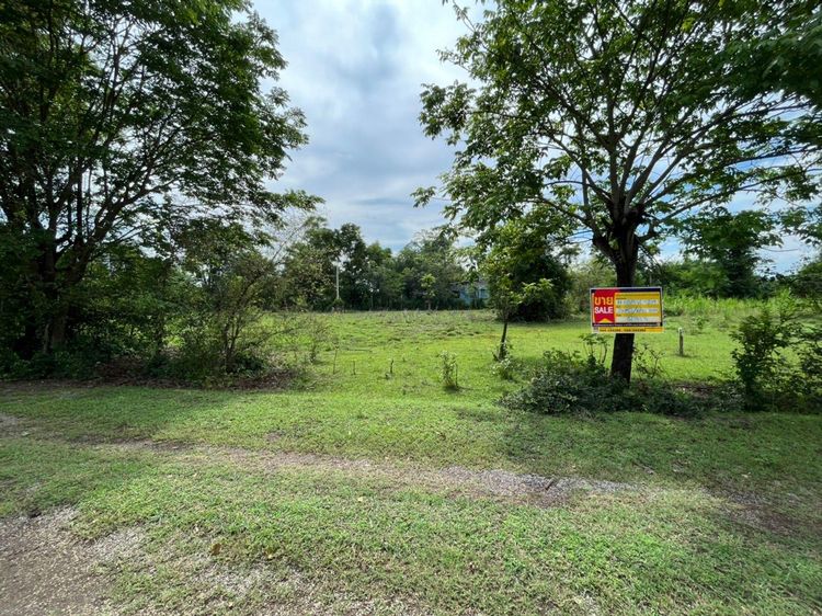 💖 ที่ดิน โชคชัย ราคาพิเศษ! 💖