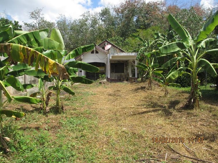 ใช่ 💖 บ้าน หาดใหญ่ ราคาพิเศษ! 💖