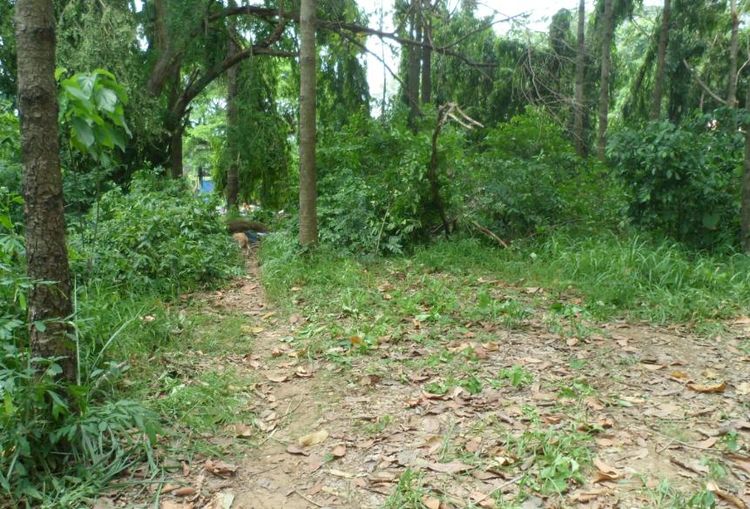 ใช่ 💖 ที่ดิน เมืองสระบุรี ราคาพิเศษ! 💖 รูปที่ 3