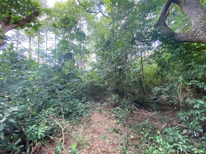 ใช่ 💖 ที่ดิน เมืองสระบุรี ราคาพิเศษ! 💖 รูปที่ 2