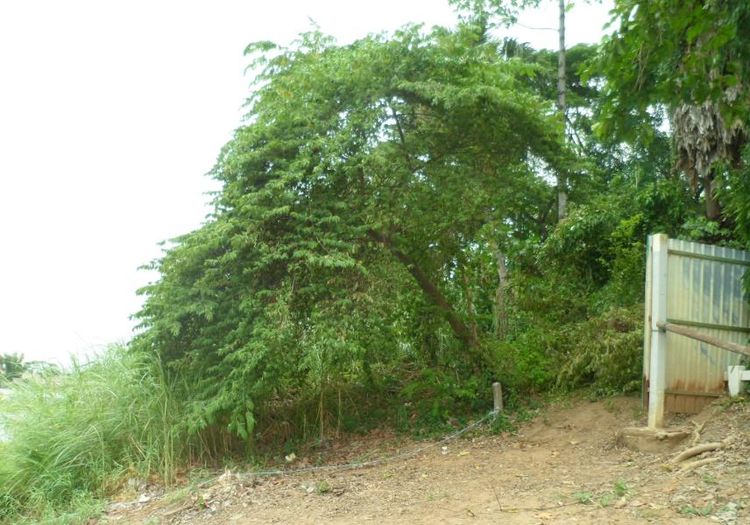 ใช่ 💖 ที่ดิน เมืองสระบุรี ราคาพิเศษ! 💖 รูปที่ 4