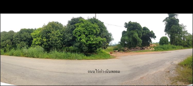 ใช่ 💖 ที่ดิน สามร้อยยอด ราคาพิเศษ! 💖 รูปที่ 4