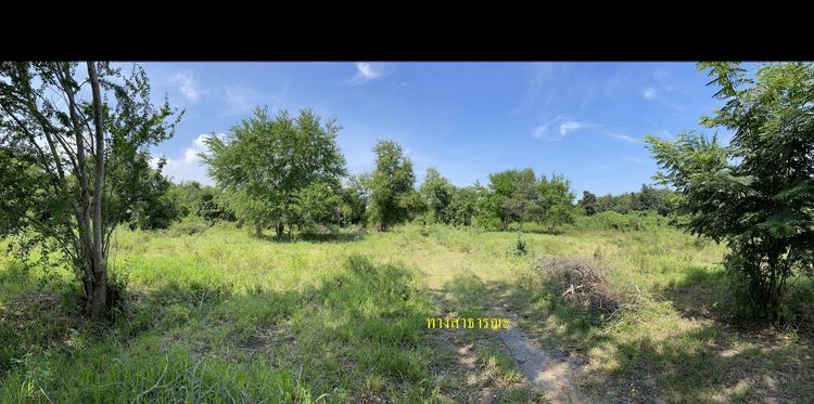 ใช่ 💖 ที่ดิน สามร้อยยอด ราคาพิเศษ! 💖 รูปที่ 3