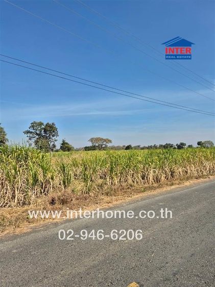 ไม่ใช่ ที่ดินเปล่า 13 ไร่ 323 ตร.ว. ที่ดินเปล่า ใกล้หมู่บ้านโคกตาหล่ำ ถนนบ้านบัว-ตลุมปุ๊ก ถนนหมายเลข218 สายบุรีรัมย์–นางรอง เมืองบุรีรัมย์ รูปที่ 3