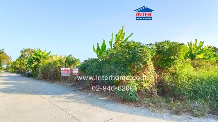 ไม่ใช่ ที่ดินเปล่า 200 ตร.ว. ที่ดินเปล่า ใกล้โรงเรียนบีคอนเฮาส์ แย้มสอาดรังสิต ซอยสุสวาท10 ถนนรังสิต–นครนายก ถนนลำลูกกาคลอง4 ลำลูกกา ปทุมธานี รูปที่ 2