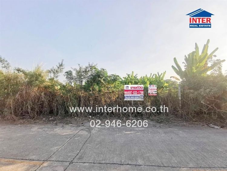 ไม่ใช่ ที่ดินเปล่า 200 ตร.ว. ที่ดินเปล่า ใกล้โรงเรียนบีคอนเฮาส์ แย้มสอาดรังสิต ซอยสุสวาท10 ถนนรังสิต–นครนายก ถนนลำลูกกาคลอง4 ลำลูกกา ปทุมธานี
