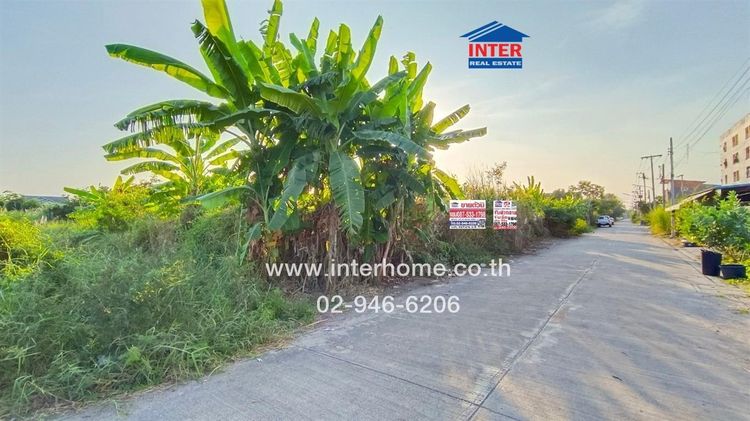 ไม่ใช่ ที่ดินเปล่า 200 ตร.ว. ที่ดินเปล่า ใกล้โรงเรียนบีคอนเฮาส์ แย้มสอาดรังสิต ซอยสุสวาท10 ถนนรังสิต–นครนายก ถนนลำลูกกาคลอง4 ลำลูกกา ปทุมธานี รูปที่ 3