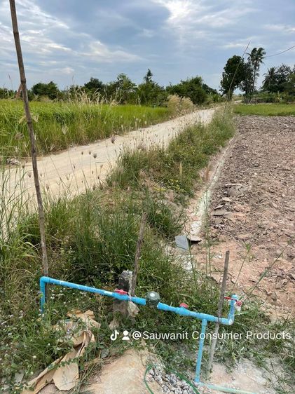 ปรับลดพิเศษ ขายที่ดินถมแล้ว อำเภอบ้านบึง ชลบุรี 50 ตร.วา 390,000บาท รูปที่ 2