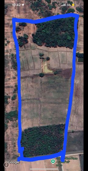 ที่ดิน รูปที่ 3