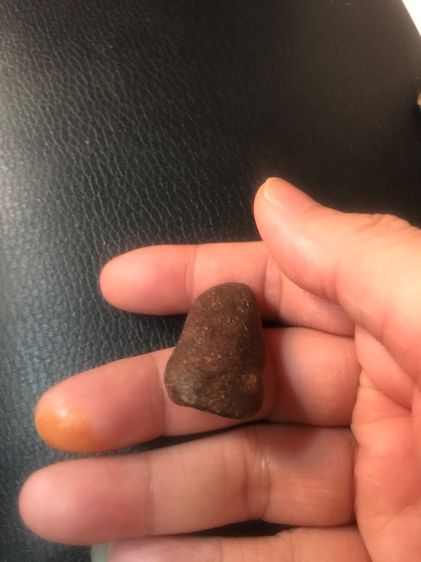 พระหลวงปู่ทวดเนื้อว่าน รูปที่ 7