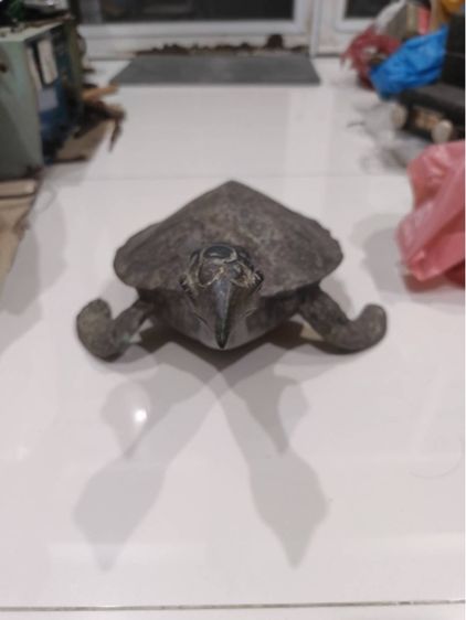 เต่าสำริดโบราณ