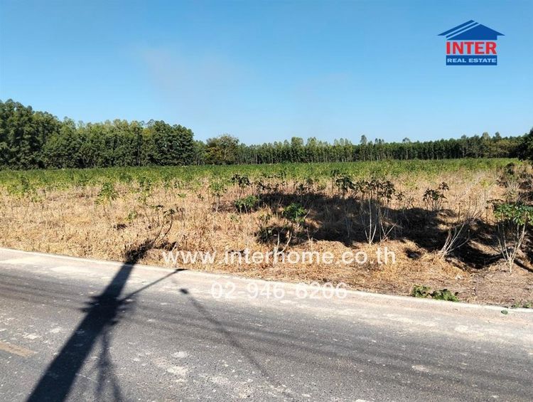 ไม่ใช่ ที่ดินเปล่า 1200 ตร.ว. ที่ดินเปล่า ใกล้วัดศรีโพธิมาลัย ถนนหมายเลข304 ถนนหมายเลข3079 ศรีมหาโพธิ ปราจีนบุรี รูปที่ 3