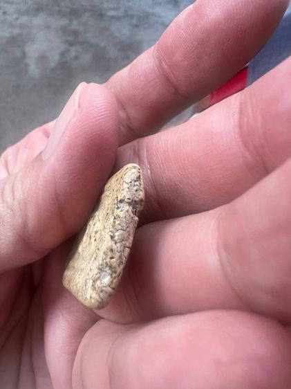 พระสมเด็จพิมพ์วัดเกศไชโย พิมพ์ตลก 2,000 บาท รูปที่ 7