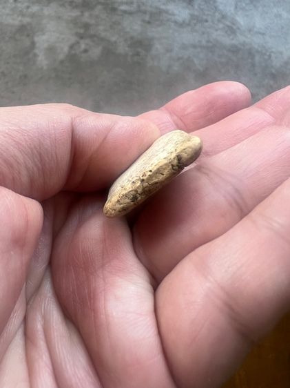 พระสมเด็จพิมพ์วัดเกศไชโย พิมพ์ตลก 2,000 บาท รูปที่ 5