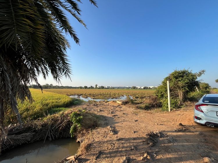 ที่ดิน ชัยนาท พร้อมหาคนเช่าให้ 7-2-56ไร่ ทำนาได้ตลอด รูปที่ 3