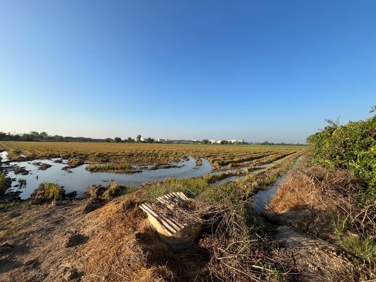 ที่ดิน ชัยนาท พร้อมหาคนเช่าให้ 7-2-56ไร่ ทำนาได้ตลอด รูปที่ 4