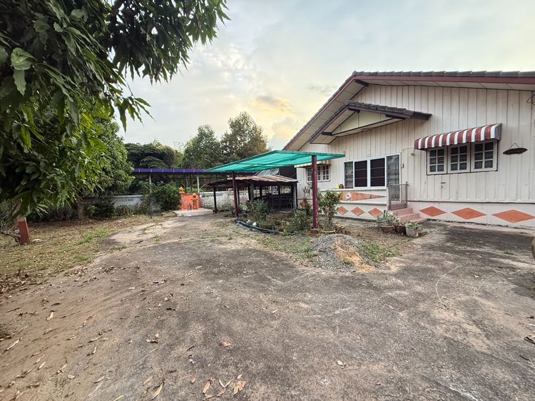 ที่ดินพร้อมบ้านไม้ครึ่งปูนชั้นเดียว 200 ตร.ว. บ้านกกบก เลขที่ 34 ซอย 5 ตำบลรอบเมือง จังหวัดชัยภูมิ รูปที่ 2