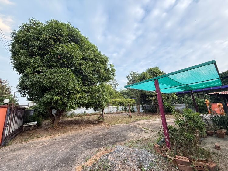 ที่ดินพร้อมบ้านไม้ครึ่งปูนชั้นเดียว 200 ตร.ว. บ้านกกบก เลขที่ 34 ซอย 5 ตำบลรอบเมือง จังหวัดชัยภูมิ รูปที่ 4