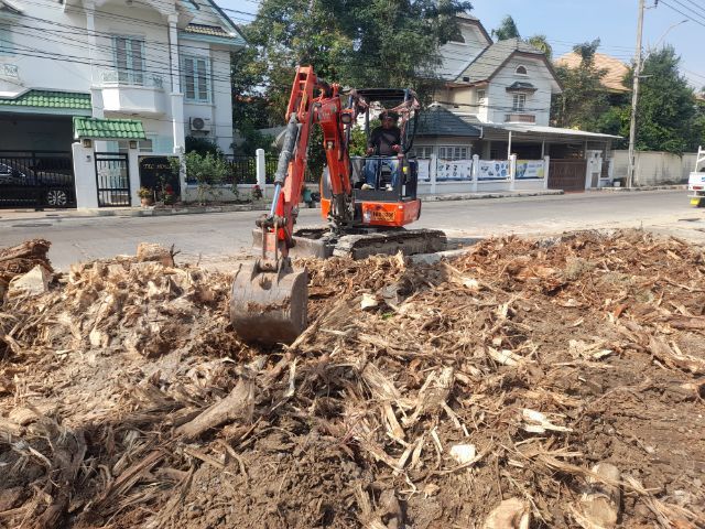 ช่างรับขุดตอไม้ใกล้ฉัน ขุดตอต้นโพธิ์  รูปที่ 5