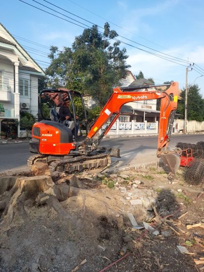 ช่างรับขุดตอไม้ใกล้ฉัน ขุดตอต้นโพธิ์  รูปที่ 8