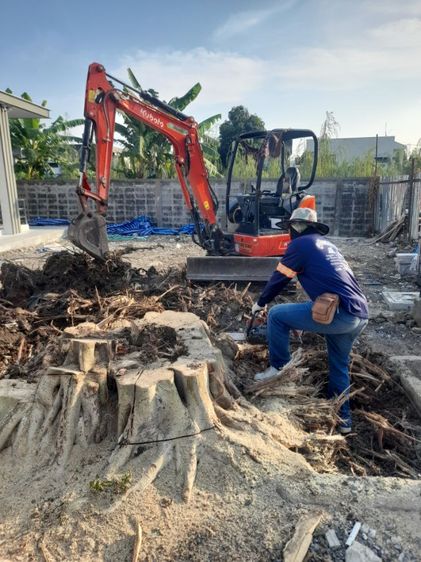 ช่างรับขุดตอไม้ใกล้ฉัน ขุดตอต้นโพธิ์  รูปที่ 4
