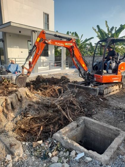 ช่างรับขุดตอไม้ใกล้ฉัน ขุดตอต้นโพธิ์  รูปที่ 6