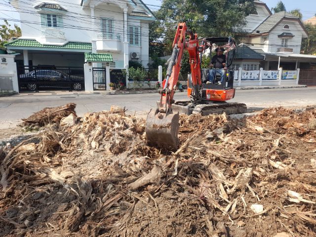 ช่างรับขุดตอไม้ใกล้ฉัน ขุดตอต้นโพธิ์  รูปที่ 3