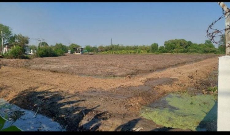 ขายที่ดินติดถนน 8 ไร่ ปทุมธานี รูปที่ 3