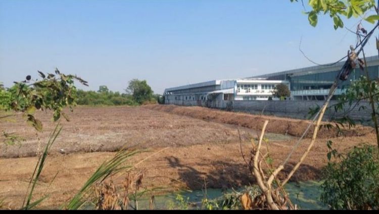 ขายที่ดินติดถนน 8 ไร่ ปทุมธานี รูปที่ 2