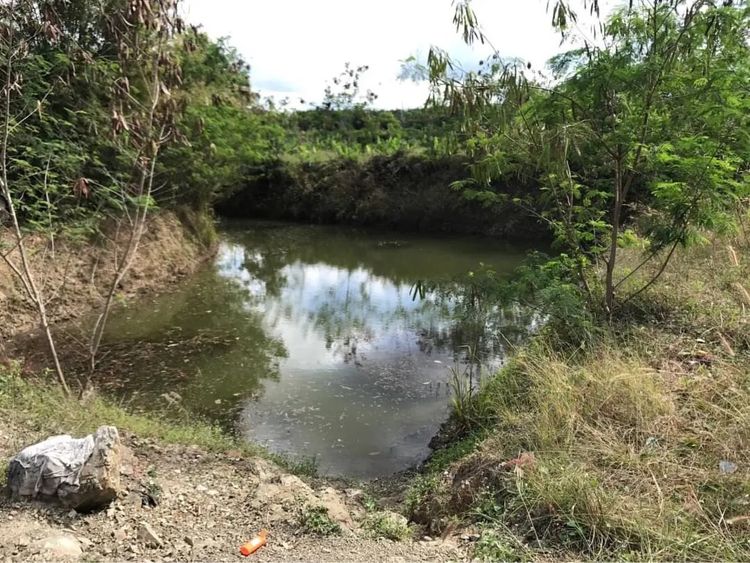 ขายสวนยาง อ.สอยดาว จ.จันทบุรี เนื้อที่ 23 ไร่ 43 ตรว. รูปที่ 2