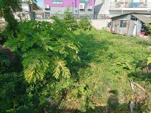 ให้เช่าที่ ดอนเมือง ซอยโกสุมรวมใจ 3 ขนาด 60 ตร.ว. แปลงติดบ้านเลขที่ 112