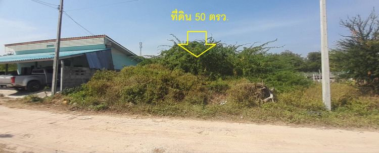 ขายที่ดิน ใกล้ 7-11 ทำเลหมู่บ้านใกล้ชะอำหัวหิน 50 ตรว เป็นโฉนด เพชรบุรี อำเภอชะอำ (งดนายหน้าเพิ่มครับ) รูปที่ 2