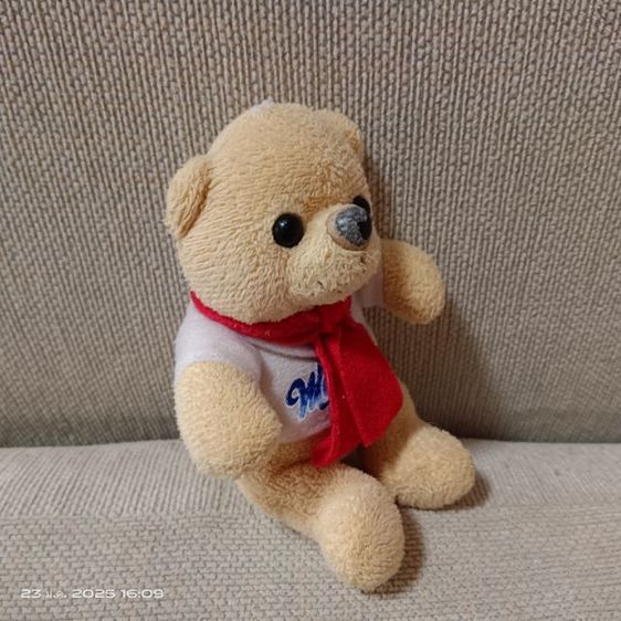 ตุ๊กตาหมีน้อยคู่ แบบน่ารักๆ 2 ตัว 50 บาท มือสองสภาพดี ขายถูกๆค่ะ รูปที่ 11