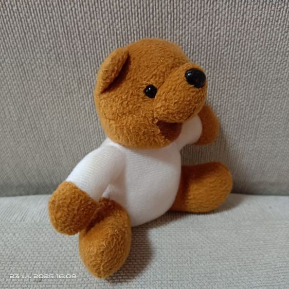 ตุ๊กตาหมีน้อยคู่ แบบน่ารักๆ 2 ตัว 50 บาท มือสองสภาพดี ขายถูกๆค่ะ รูปที่ 6