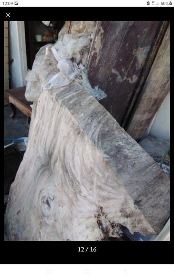 🏛.เสาไม้เต็งหน้า10" รูปที่ 8