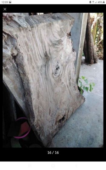 🏛.เสาไม้เต็งหน้า10" รูปที่ 6