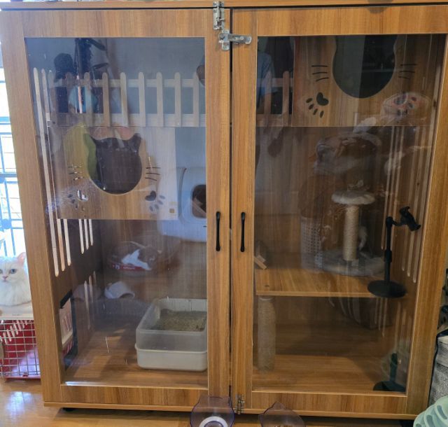 บ้านแมว สภาพสวย ขนาดใหญ่  ประกอบแล้ว