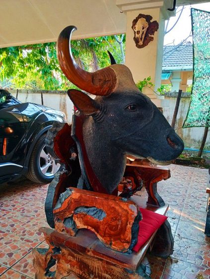 เก่าโบราณแท้เดิมใหญ่ยักษ์สภาพเยี่ยม รูปที่ 7