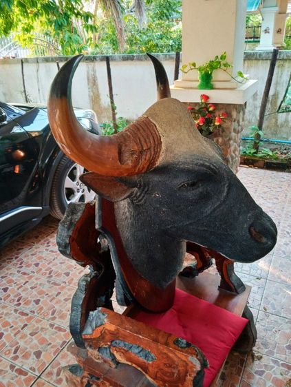 เก่าโบราณแท้เดิมใหญ่ยักษ์สภาพเยี่ยม รูปที่ 14